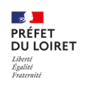 DDT Loiret Logo