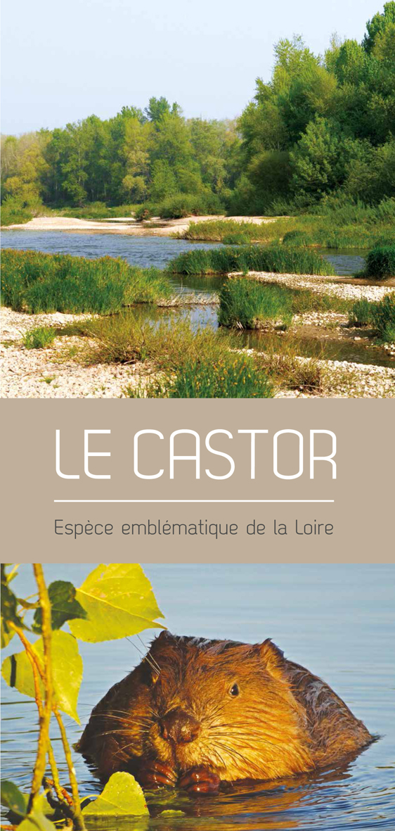 Couv Castor