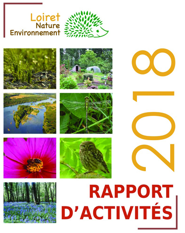 CouvRapport Activités 2018