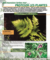 Protéger les plantes
