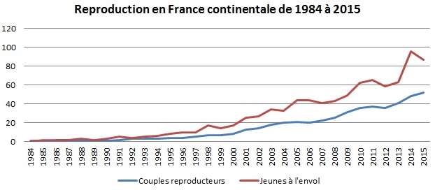 graphe effectif bbz actualisé