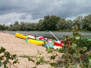 canoe menaces sternes