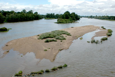 île sternes