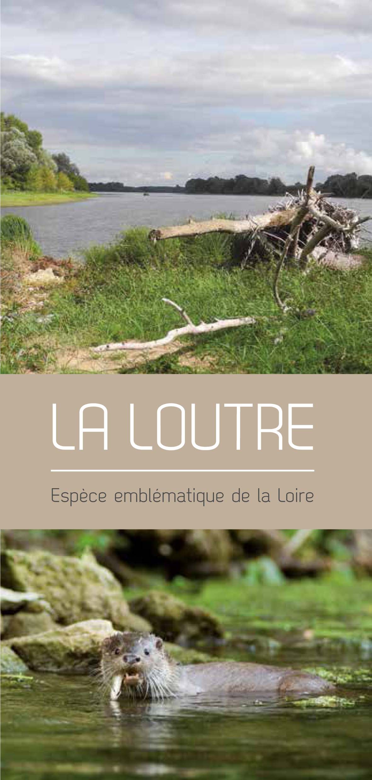 Couv Plaquette Loutre web 1