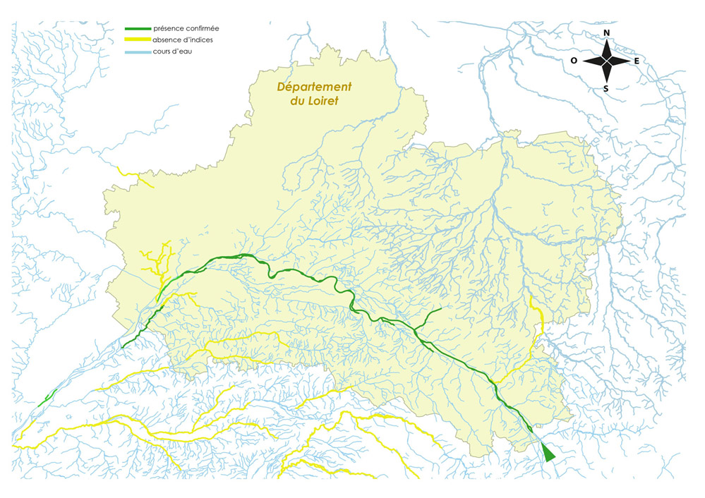 Loutre deurope carte