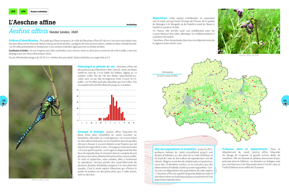 Atlas Odonates Pages 3