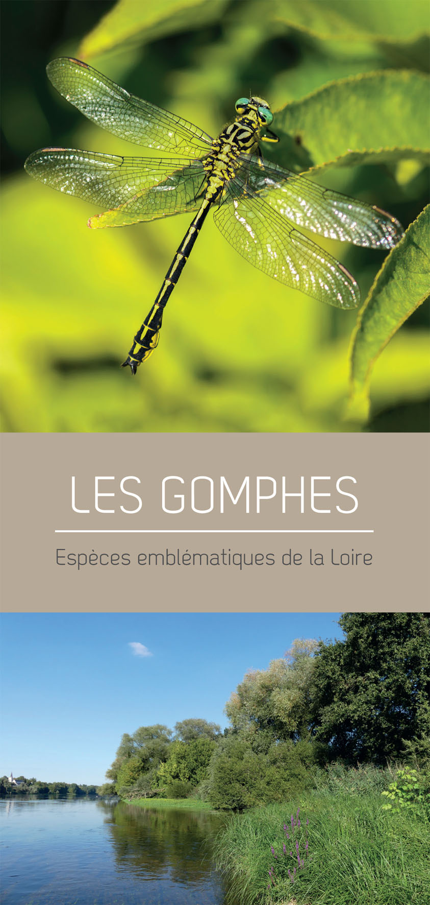 couv Gomphes 1