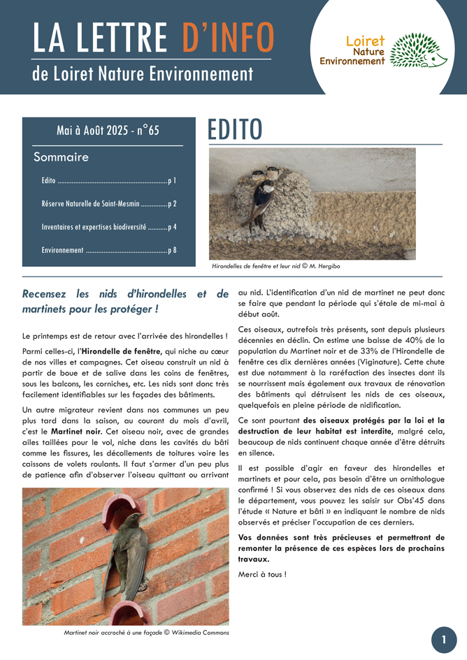 LNE Lettre Info 62 1