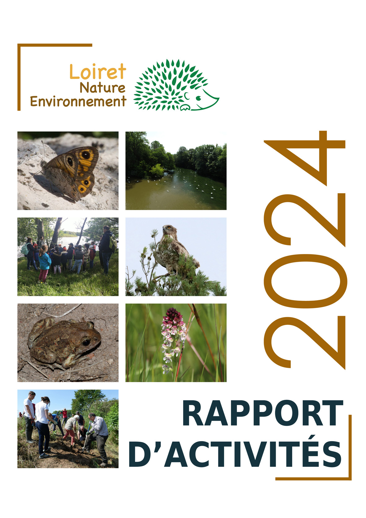 Rapport Activités 2023 1