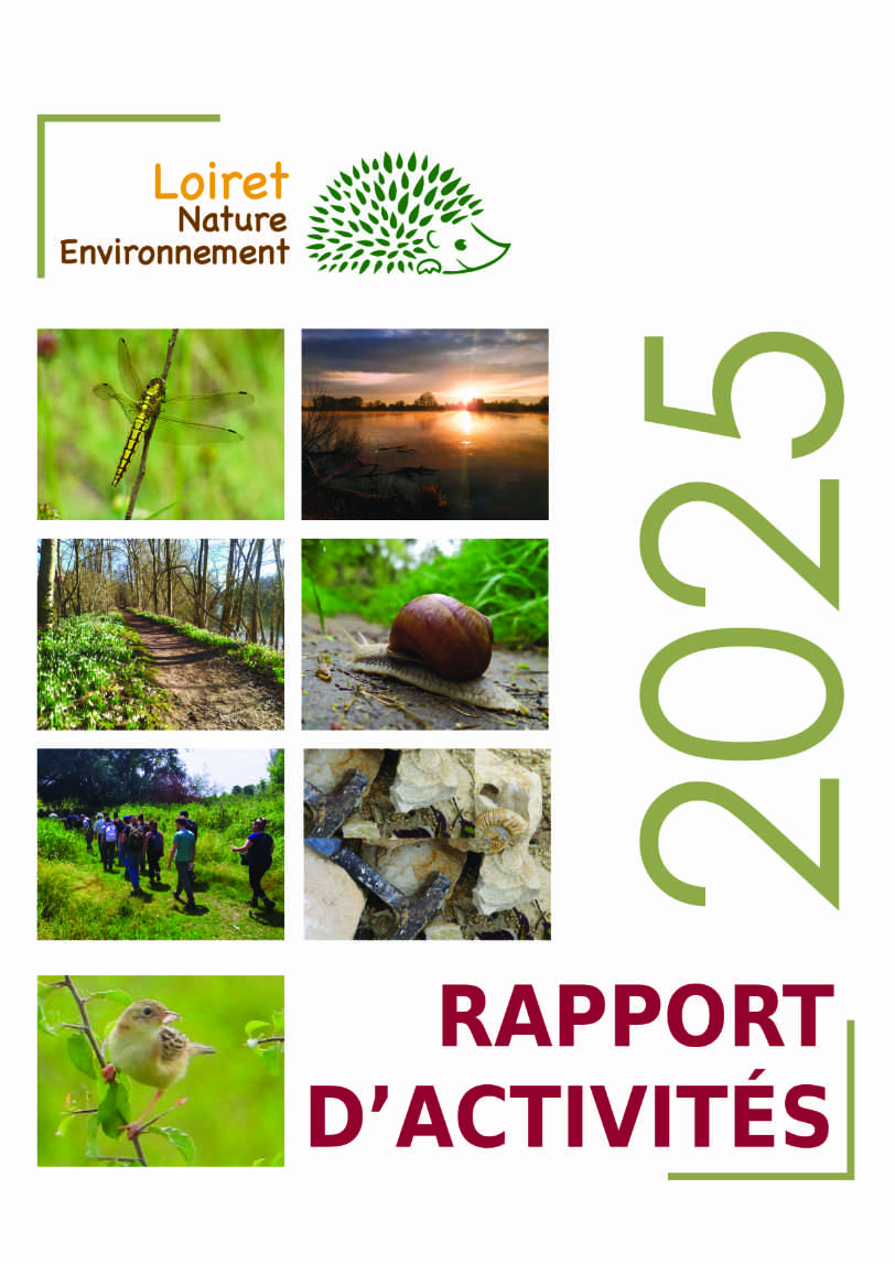 Rapport Activités 2023 1