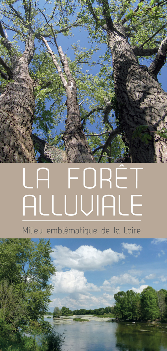 Foret alluviale couv