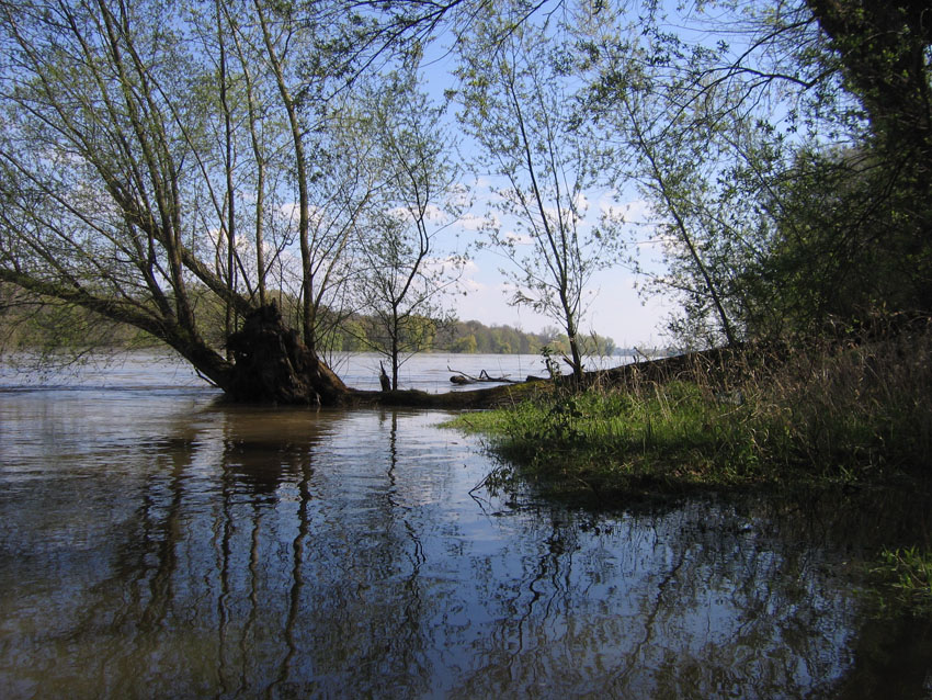 Courpain-La_Loire_D._HEMERAY