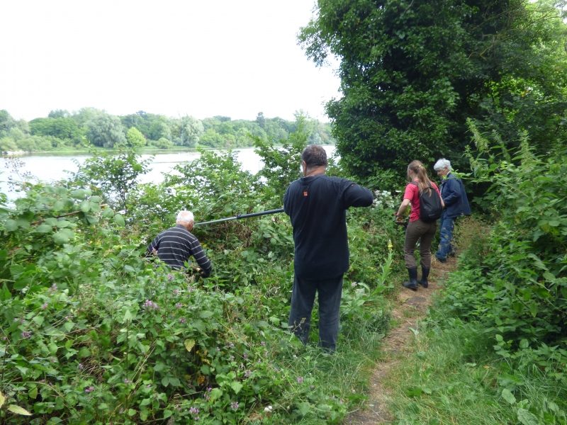 chantier-de-bnvoles--la-rserve-naturelle---D.-Hmeray-1