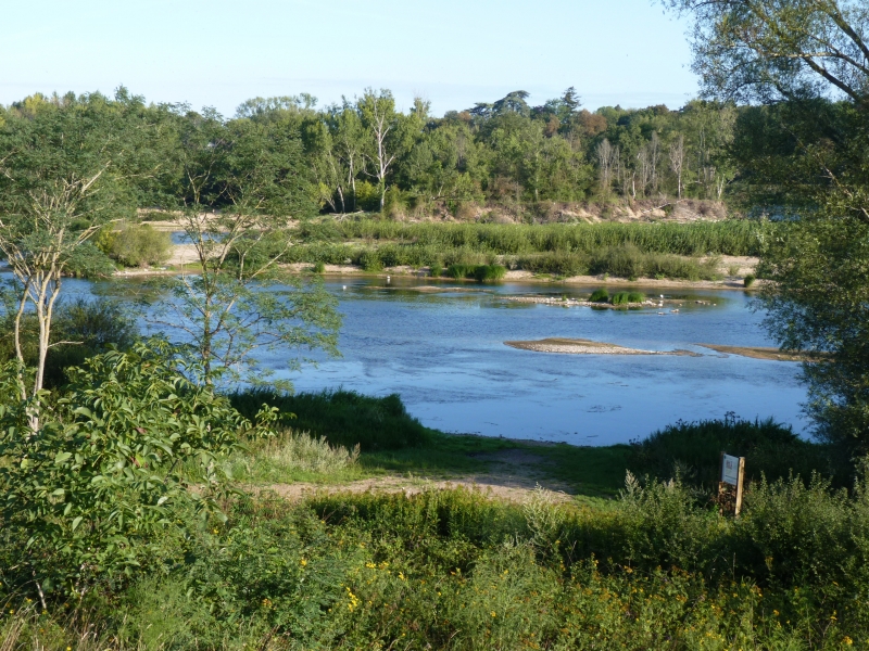 les_de_Mareau-Loire__ltiage-DAMIEN_HEMERAY