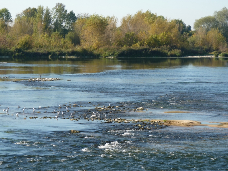 vue_sur_la_Loire_depuis_la_plateforme_de_Fourneaux_03-10-2011_DaHem