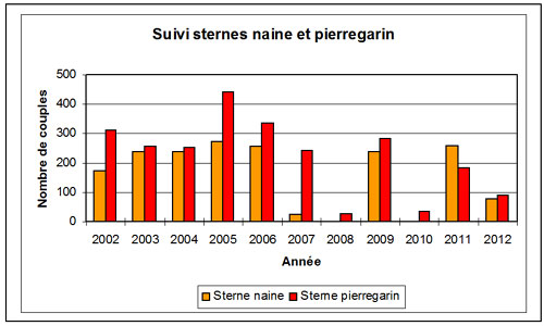 Suivi sternes naine et pierregarin