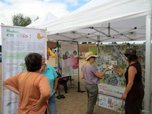La « malle aux herbes folles »