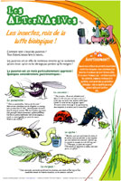 Les insectes, rois de la lutte biologique !